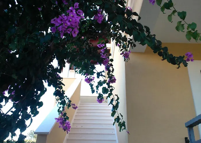 With Parking Space Razanj, Rogoznica - 22062 * Razanj